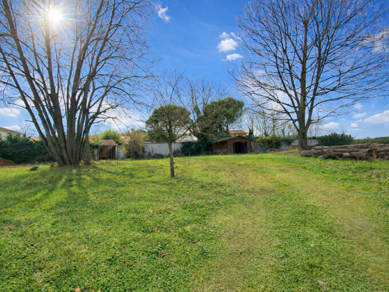 NOUVEAUTÉ PRINTEMPS 2026 - BEAU TERRAIN PLAT ET ARBORE DANS — photo 1