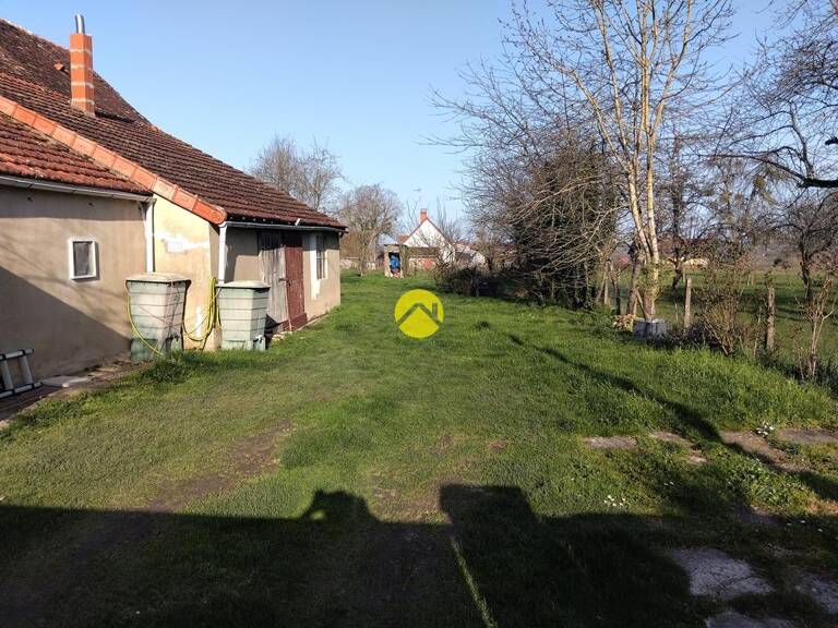 Forêt de Tronçais à 100m — photo 1