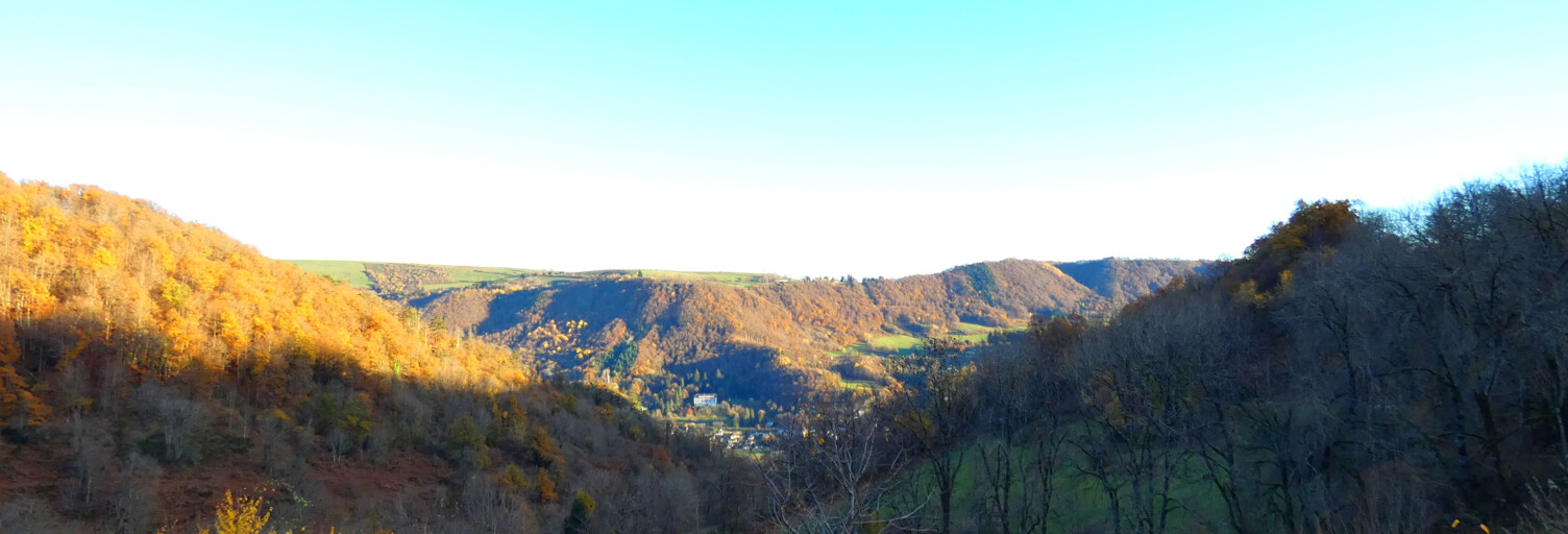 Maison 5 Pièces 180 m² à vendre à Vic-sur-Cère (15800)