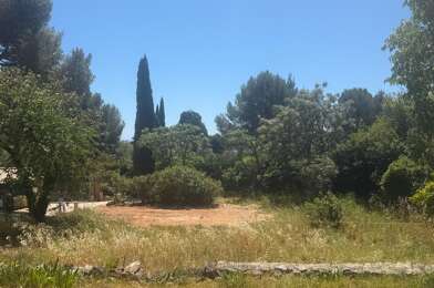 Terrain  470000 €