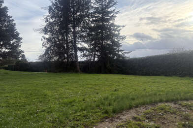 Terrain  490000 €