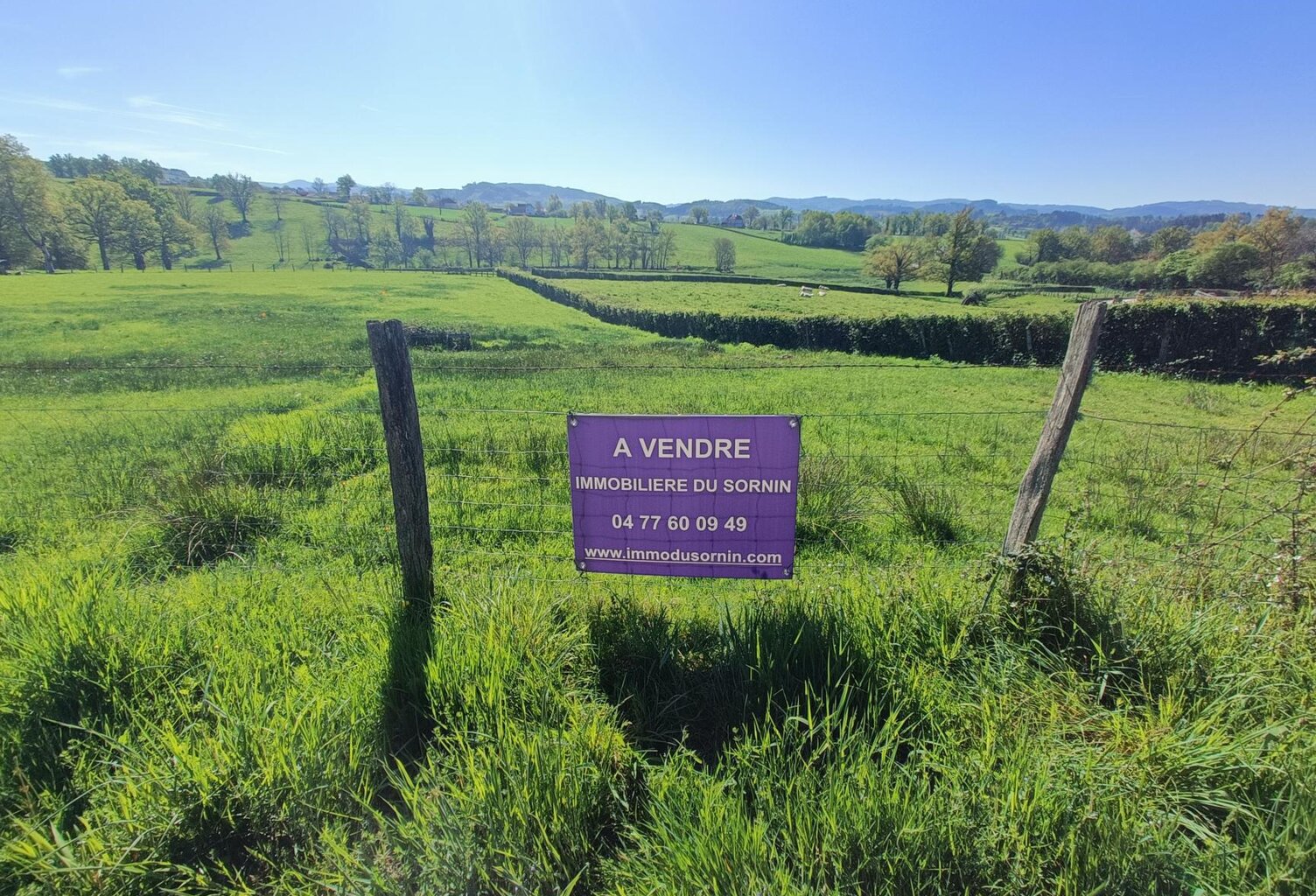 Vente terrain  1189 m² Chauffailles (71170) — photo 1