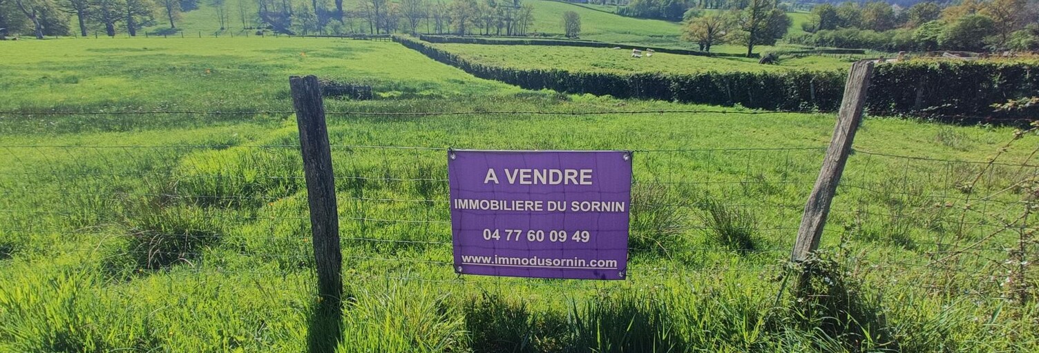 Terrain  1189 m² à vendre à Chauffailles (71170)