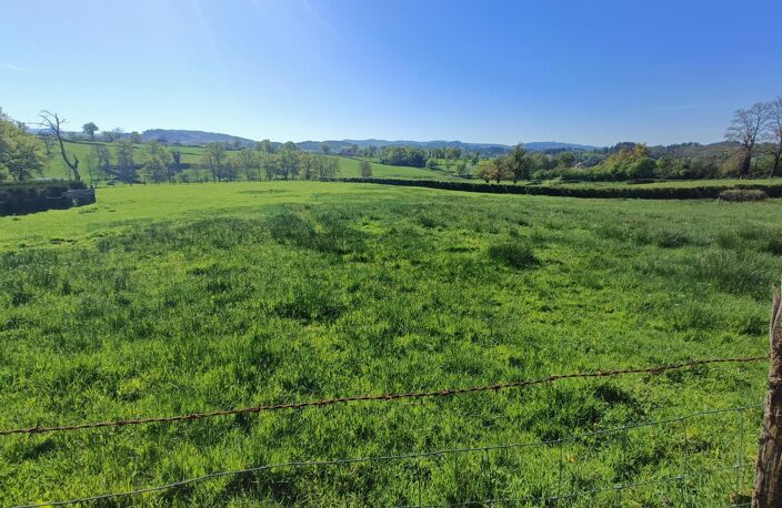 Vente terrain  1189 m² Chauffailles (71170) — photo 4