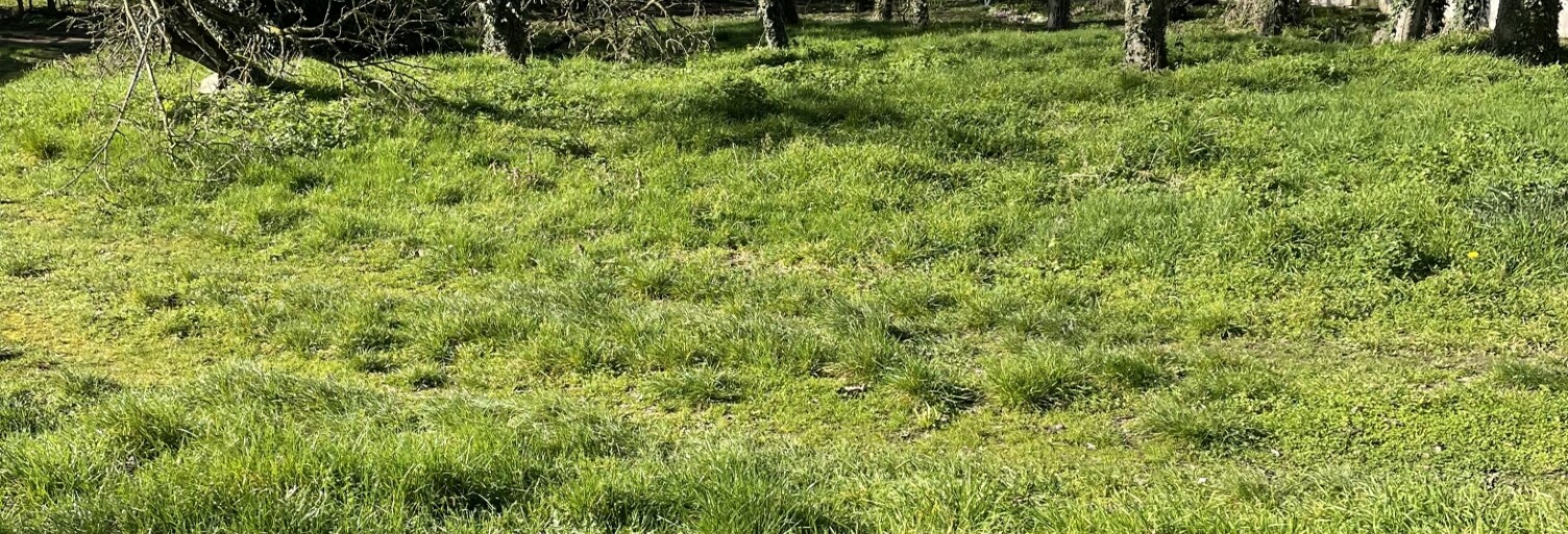 Terrain  776 m² à vendre à Lavannes (51110)