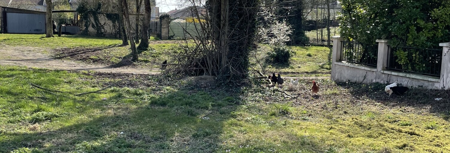 Terrain  776 m² à vendre à Witry-lès-Reims (51420)