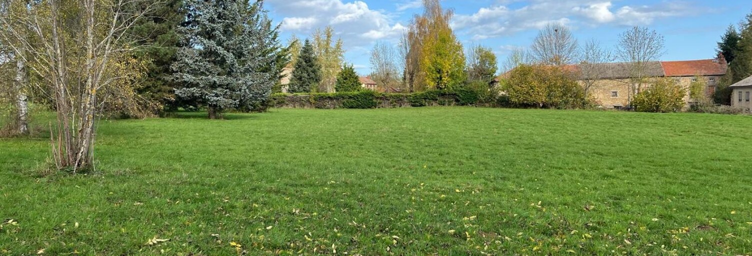 Terrain  4000 m² à vendre à Saint-Mary-le-Plain (15500)