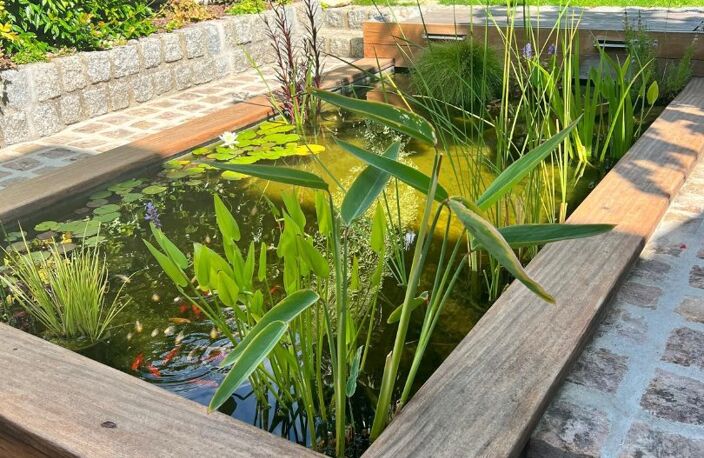 Quand l'exception devient adresse : maison au Mail avec jardin et studio indépendant — photo 3