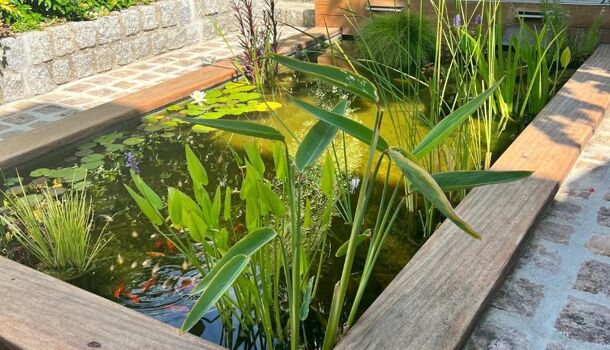 Villa / Maison 7 pièces  à vendre Rochelle (La) 17000