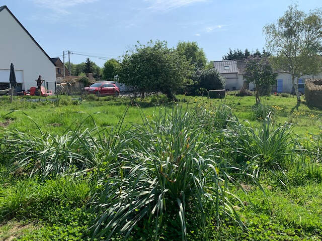 ENTRE ST MARS ET CARQUEFOU — photo du bien