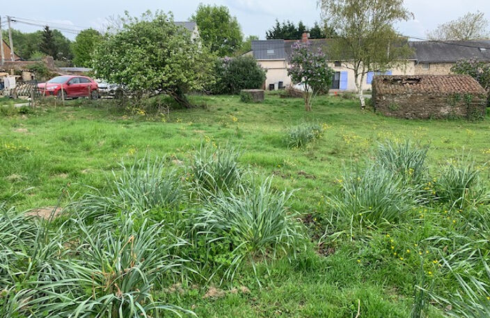 ENTRE ST MARS ET CARQUEFOU — photo 2