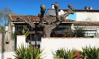 Maison 4 Pièces 90 m² à vendre à Saintes-Maries-de-la-Mer (13460)