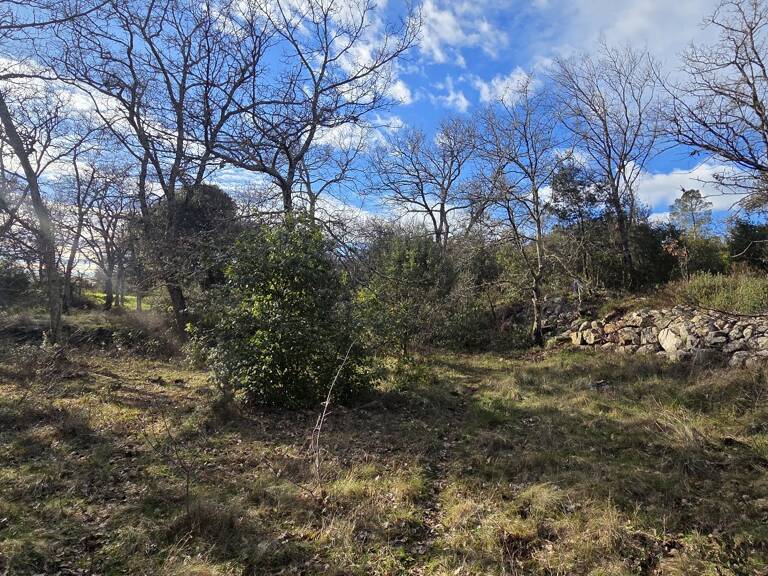 Terrain boisé  forêt — photo 1
