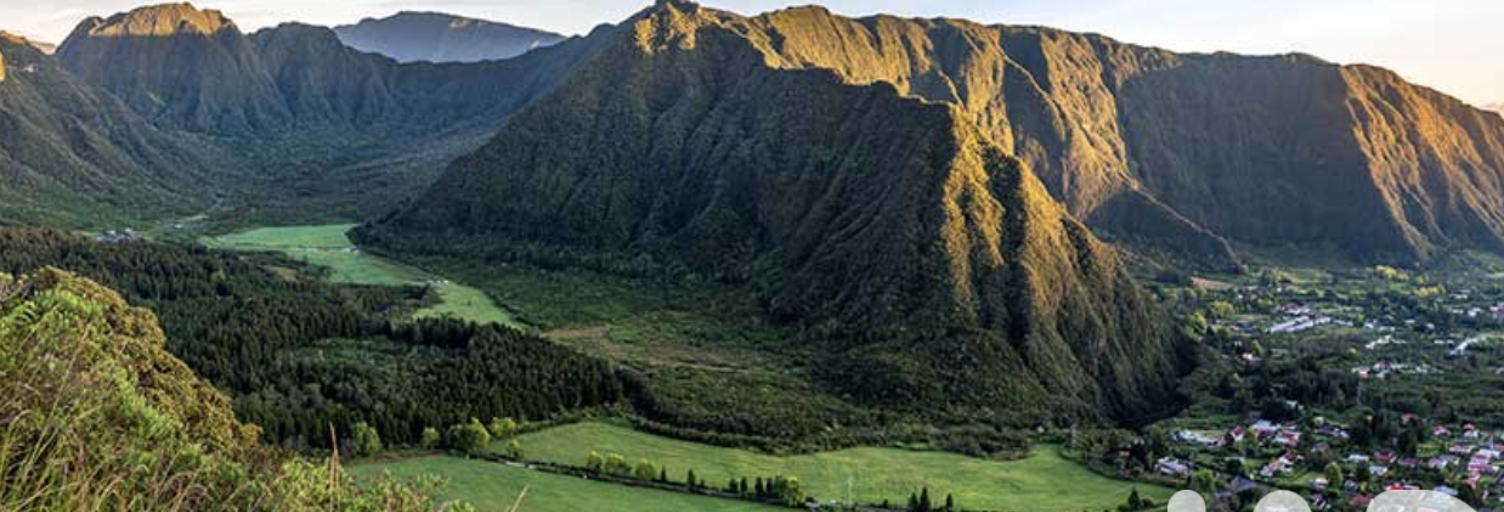 Terrain  2891 m² à vendre à La Plaine-des-Palmistes (97431)