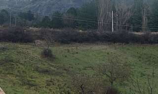 Terrain  5658 m² à vendre à Rosans (05150)