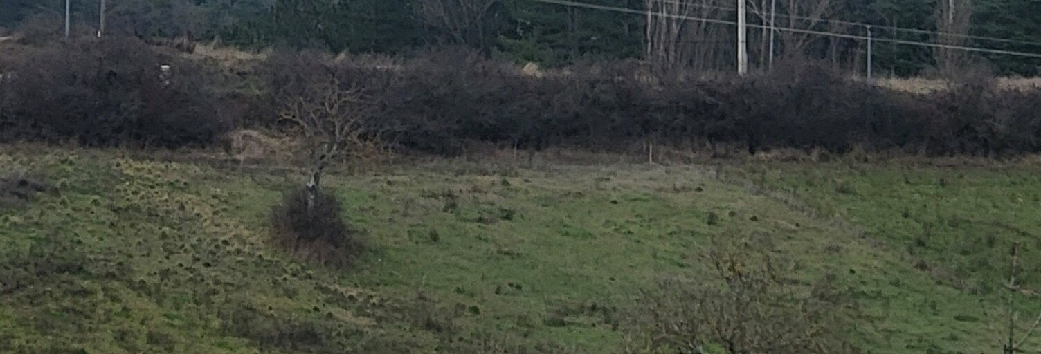 Terrain  5658 m² à vendre à Rosans (05150)