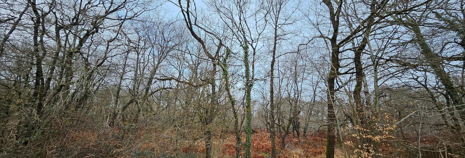 Terrain  9570 m² à vendre à Lagraulet-du-Gers (32330)