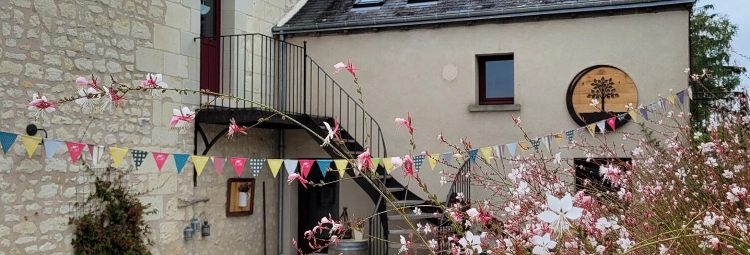 Commerce 12 Pièces 361 m² à vendre à Saint-Benoît-la-Forêt (37500)