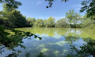 Terrain  10201 m² à vendre à Javron-les-Chapelles (53250)