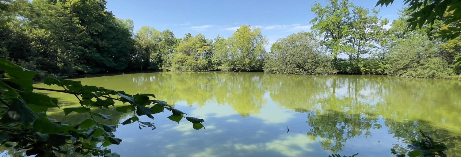 Terrain  10201 m² à vendre à Javron-les-Chapelles (53250)