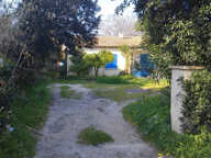 DEUX MAISONS PLAIN PIED SUR TERRAIN PLAT BORD DE MER — photo 2