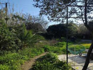 DEUX MAISONS PLAIN PIED SUR TERRAIN PLAT BORD DE MER — photo 4