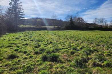 Terrain  56000 €