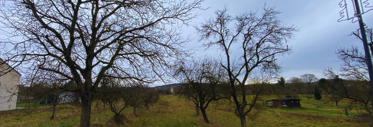 Terrain  970 m² à vendre à Einvaux (54360)