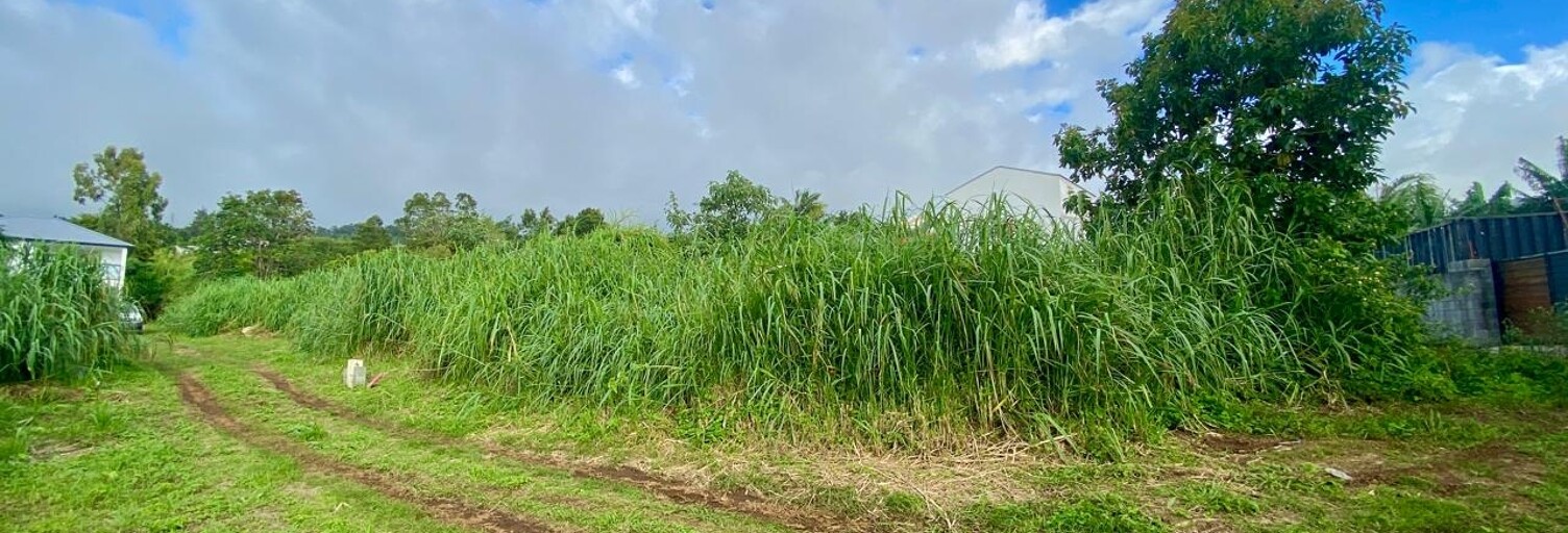 Terrain  2734 m² à vendre à Les Trois-Bassins (97426)