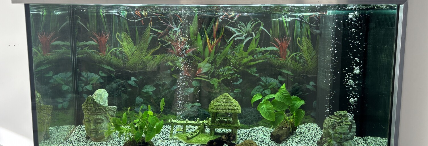 Appartement 3 Pièces 73 m² à vendre à Marseille 10 (13010)