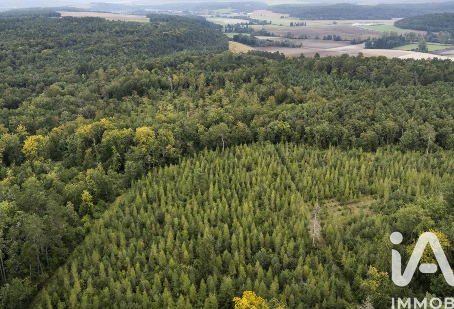 Vente Terrain 5 902 m&sup2; — photo 1