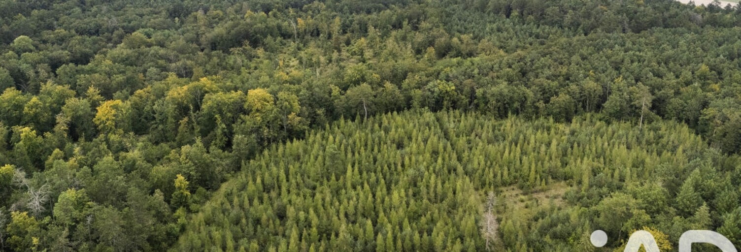 Terrain  5902 m² à vendre à Mios (33380)