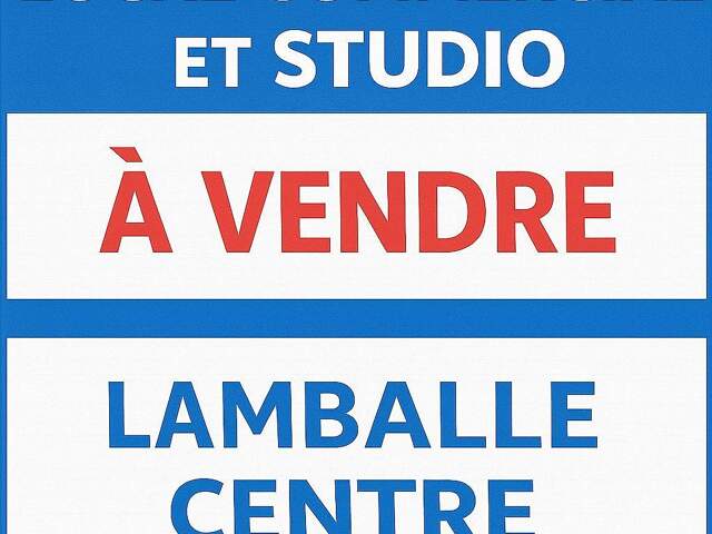 Vente Boutique/Local commercial 80 m&sup2; — photo du bien