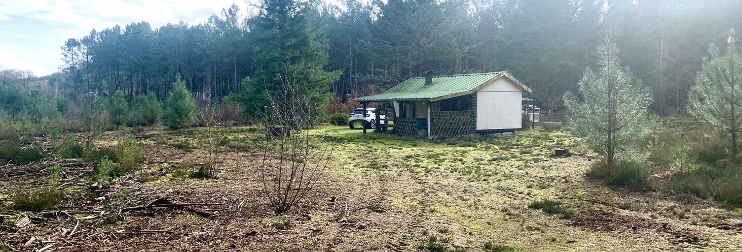 Terrain  3530 m² à vendre à Saint-Ouen-en-Belin (72220)