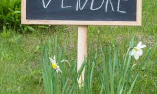 Terrain  9727 m² à vendre à Pont-sur-Yonne (89140)