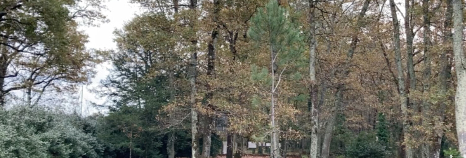 Terrain 503 m² à construire Le Taillan-Médoc (33320)