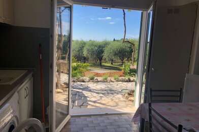 Appartement 1 pièces 590 €