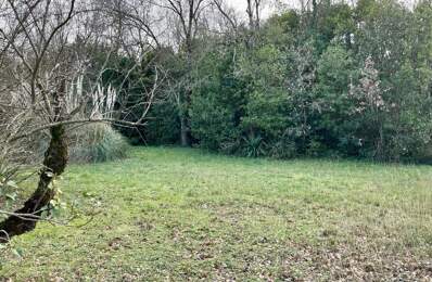 Terrain À Vendre — photo du bien