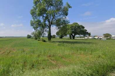 Terrain  74000 €