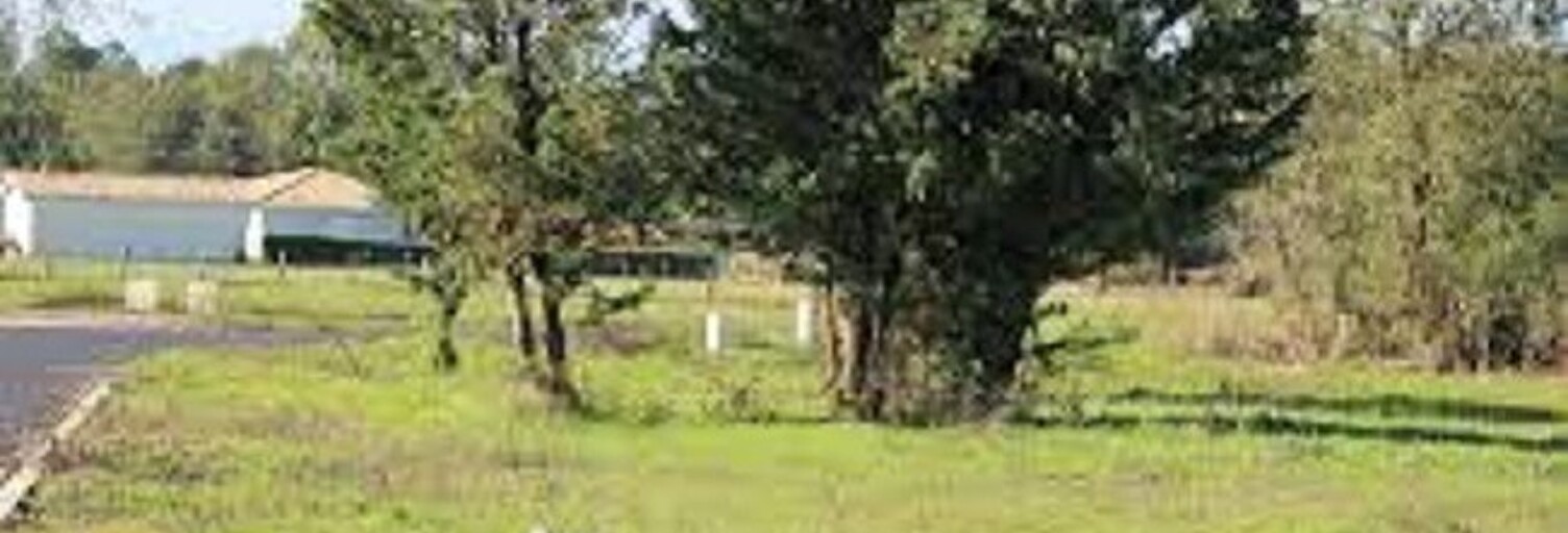 Terrain  326 m² à vendre à Belin-Béliet (33830)