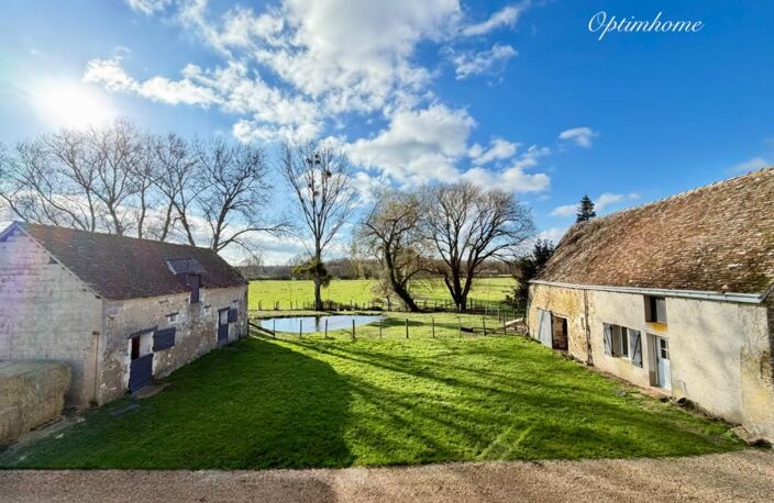 Maison de Maître XIXe – 220 m² – 1,6 ha – Dépendances & Installations Équestres – Environnement Préservé — photo 5