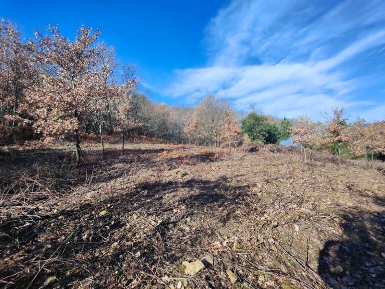 Terrain à vendre de 9 375,00 m² GRAISSESSAC (34) — photo 1