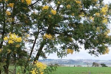 Maison 5 pièces 890 €