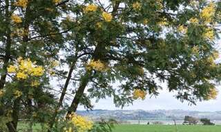 Maison 5 Pièces 73 m² à louer à Saint-Dolay (56130)