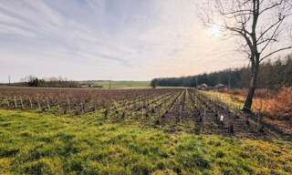 Terrain  2263 m² à vendre à Pouillon (51220)