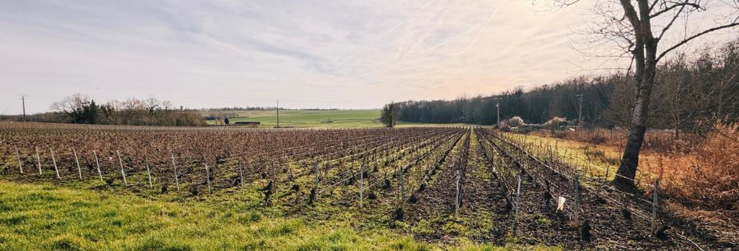 Terrain  2263 m² à vendre à Pouillon (51220)