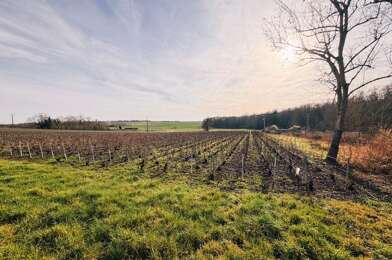 Terrain  229000 €
