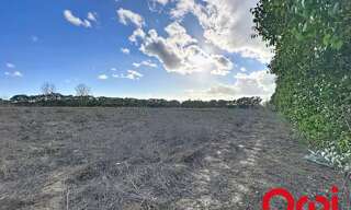 Terrain  15490 m² à vendre à Lunel (34400)