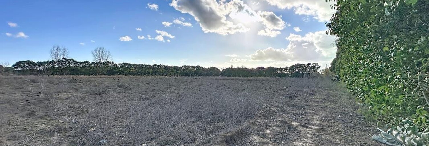 Terrain  15490 m² à vendre à Lunel (34400)