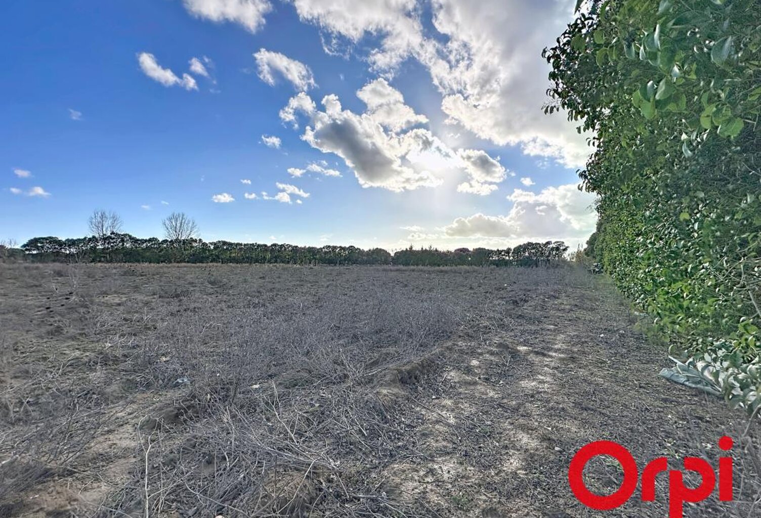 Terrain agricole — photo 1